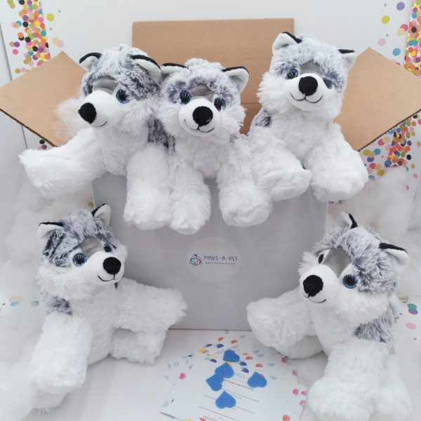 Husky Dogs Five Pack