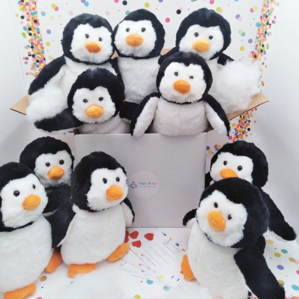 Penguins Theme Box Kit