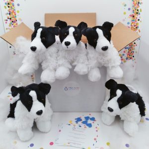 Terrier Dogs Five Pack