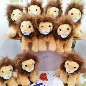 Lion Ten Pack Kit