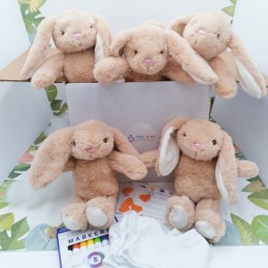 Bunny Party Ideas Pack
