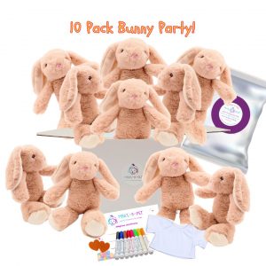 Bunny Theme Party Kit