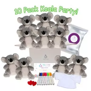 Koala Party Ideas Kit