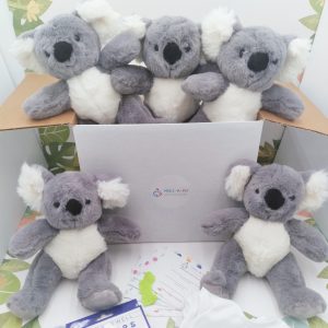 Koala Party Ideas Kit