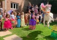 Unicorn Theme Party  Pack