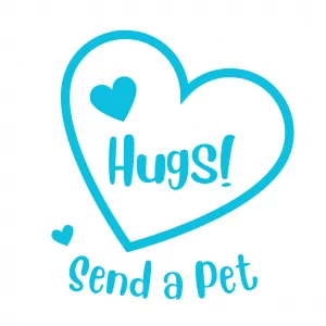 Top Simple Holiday Recipes