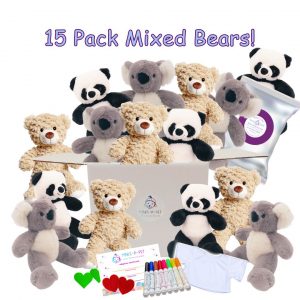 Bear Theme Party Kit