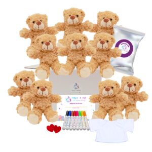 Fuzzy Teddy Bears Party