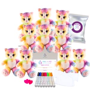 Pretty Kitty Party Kit