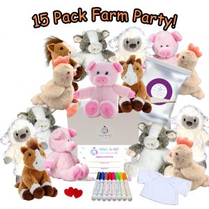 Farm Theme Party Kit