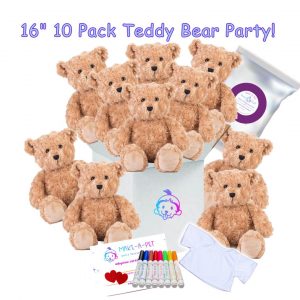 16" Teddy Bears Party