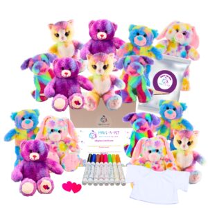 Colorful Theme Party Kit