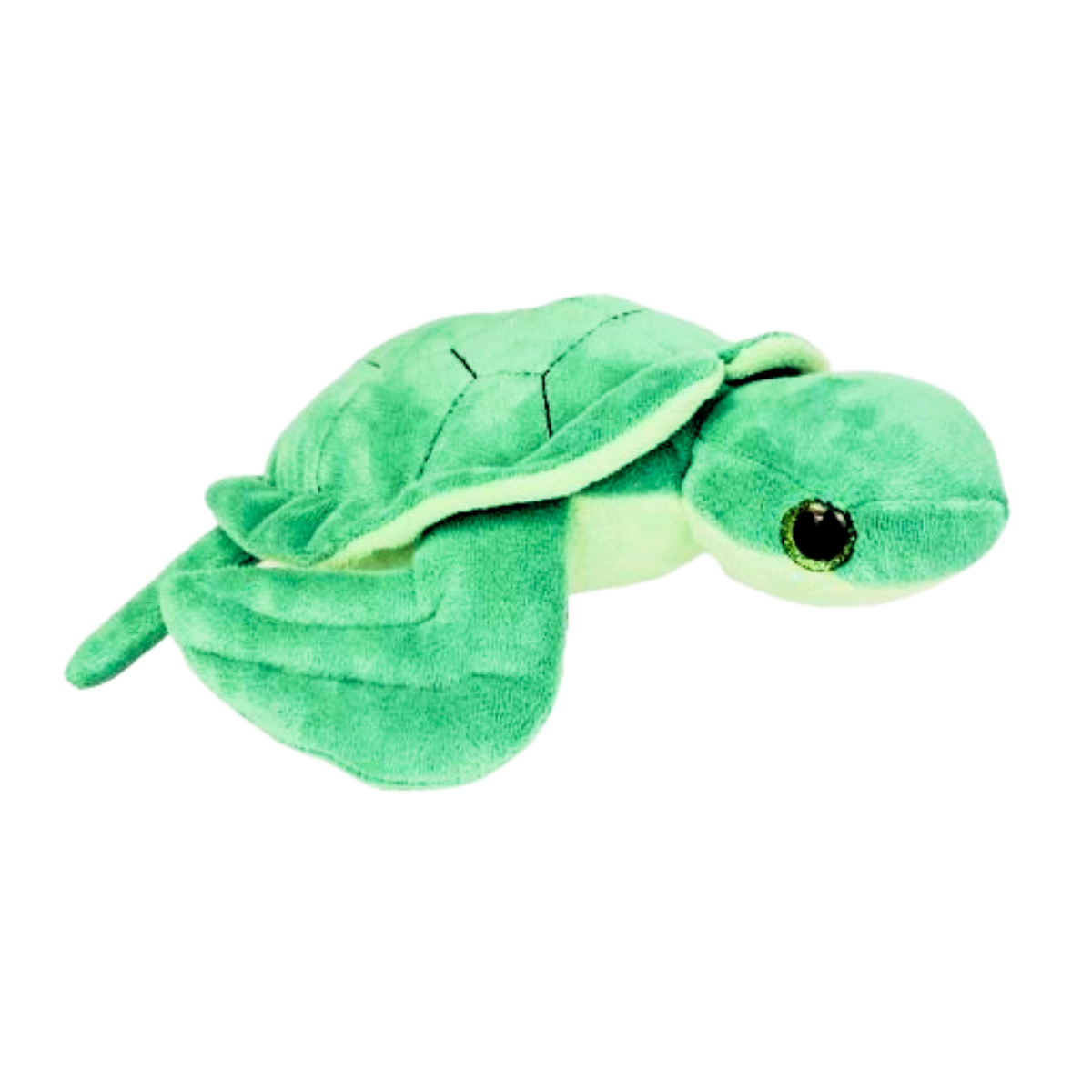 Sea Turtle Theme Kit - 5 Pack - Image 2