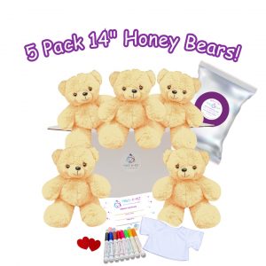 14" Honey Bears Party Kit  - 5 Pack