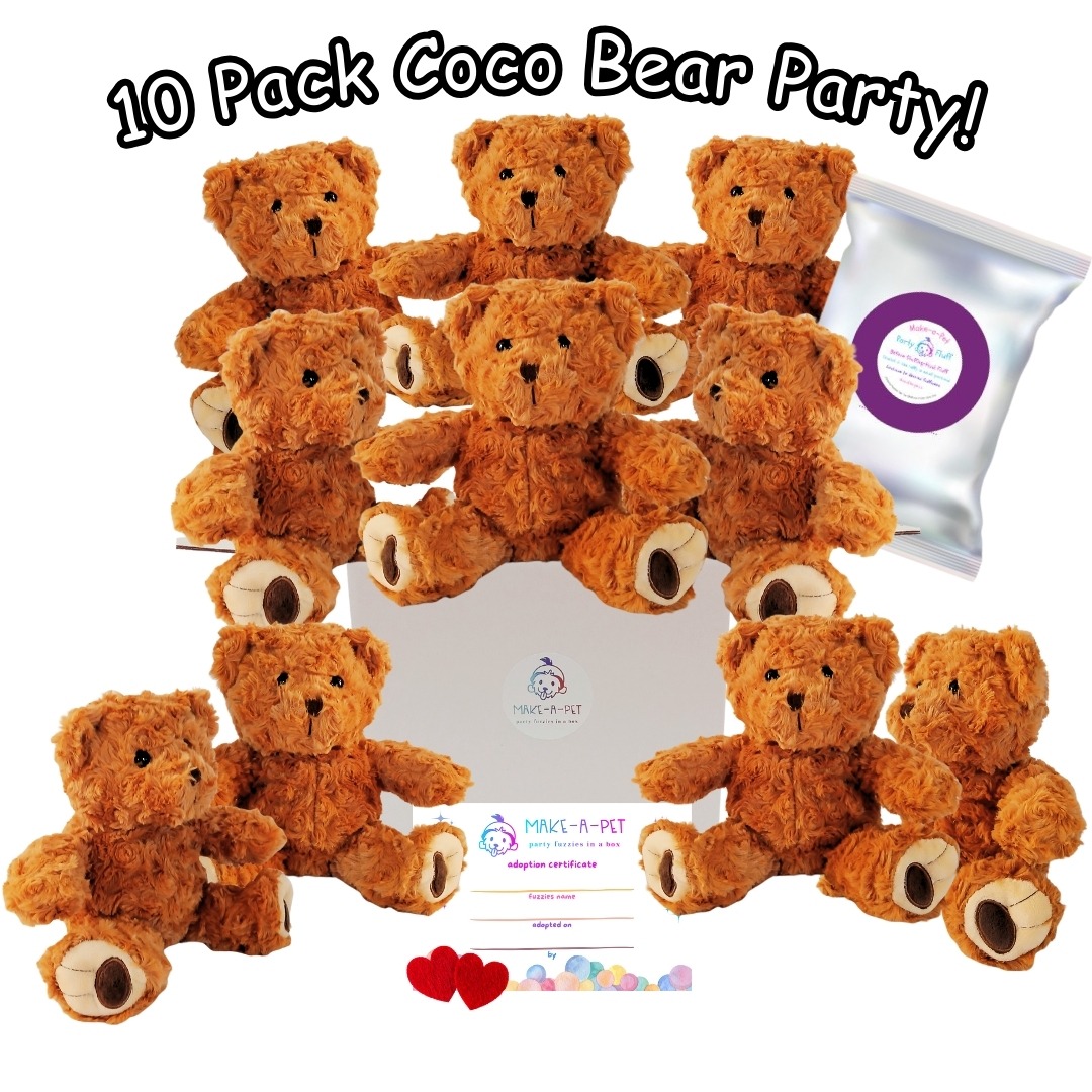 Coco Teddy Bears Party Kit - 10 Pack - Image 3
