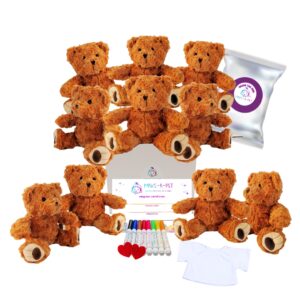 Coco Teddy Bears Party