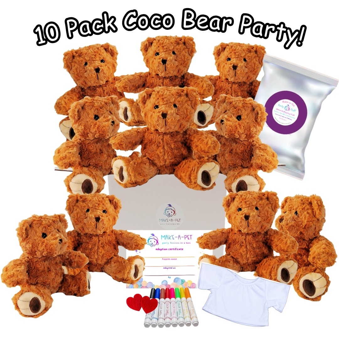 Coco Teddy Bears Party