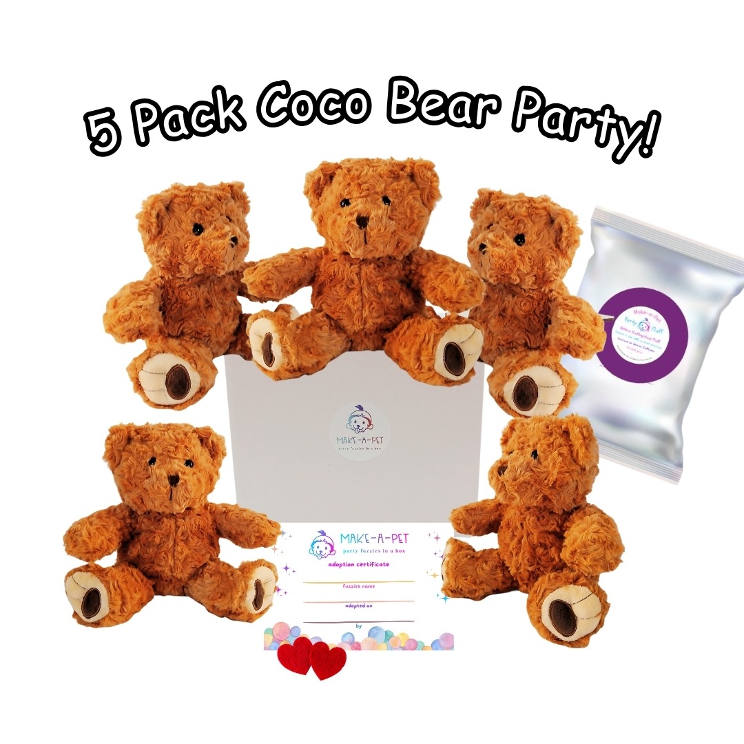Coco Teddy Bears Theme Kit - 5 Pack - Image 3