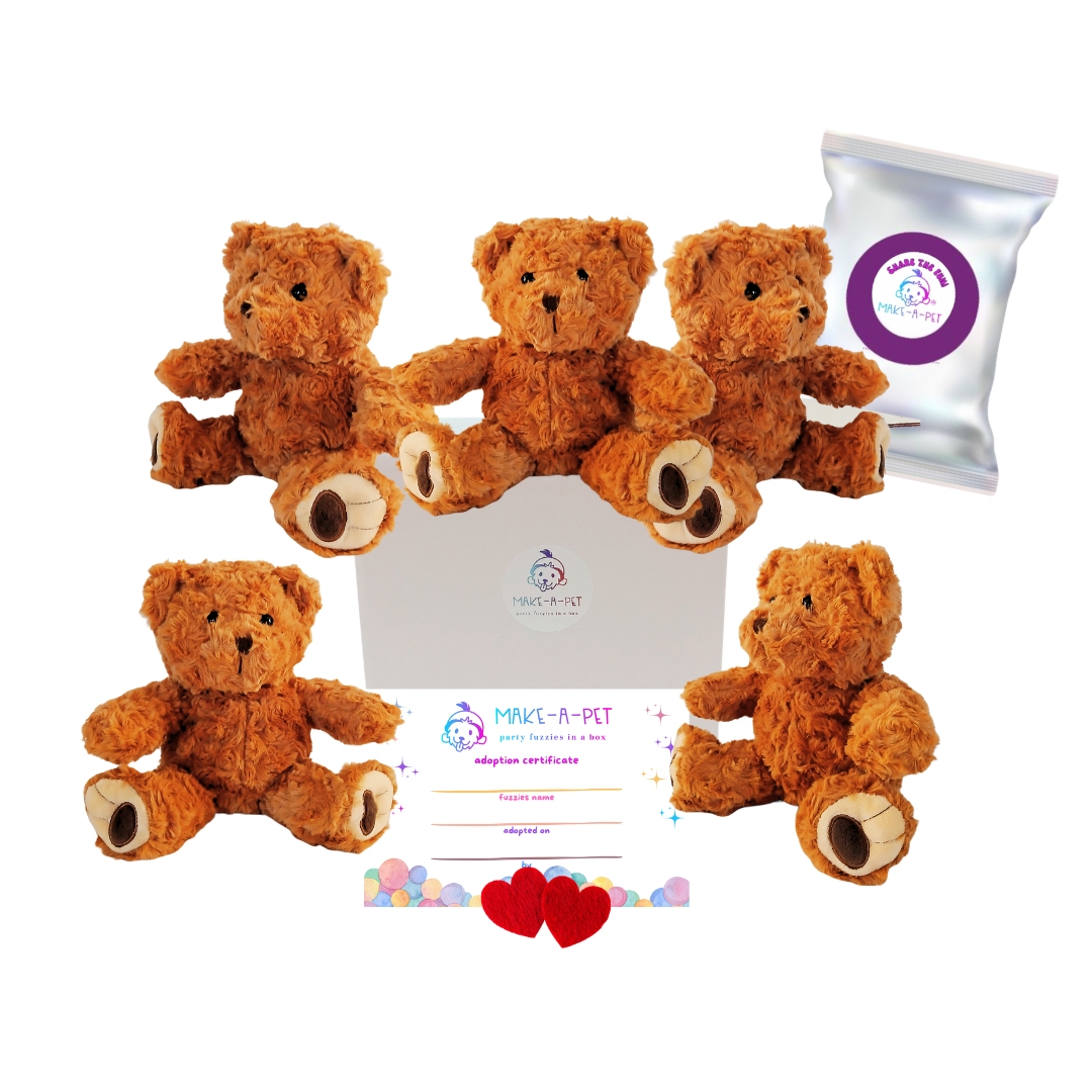 Coco Teddy Bears Theme Kit - 5 Pack - Image 3