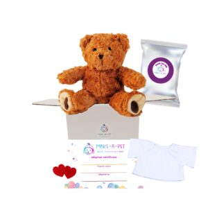 10" Coco Bear