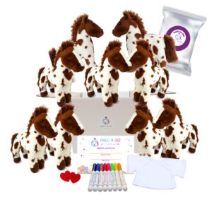 Painted Pony Party Kit