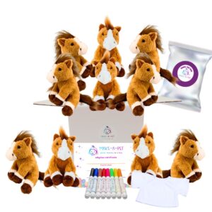 Horse Party Ideas Kit