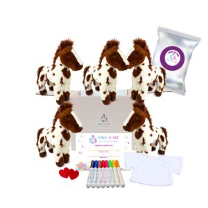 Painted Pony Party Kit